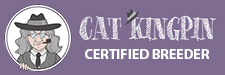  https://catkingpin.com/breeders/persian-cat-breeders/kentucky/